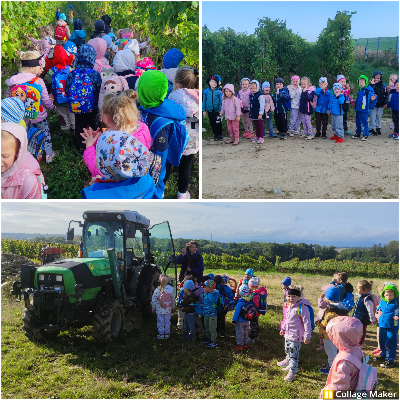 Photo Resizer 2025_12_29_11_05_43.png